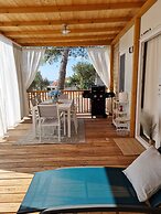 Blue Charm Mobile Home