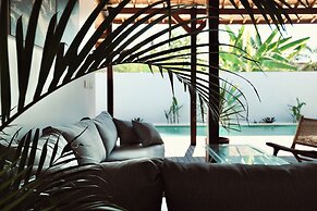 Palm Paradise