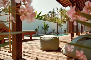 Palm Paradise