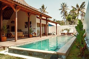 Palm Paradise