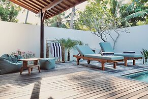 Palm Paradise