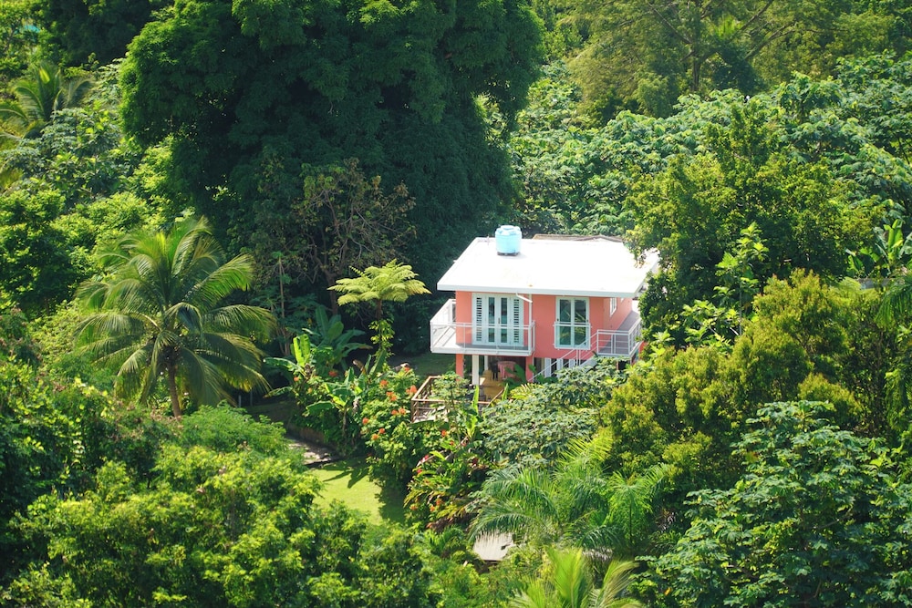 El Yunque Rainforest