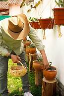 Inca Allpa Home