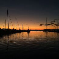 Drugstore A D in Roses