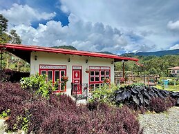 Hotel Lago Valdivia