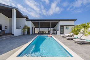 Charming Home With Big Outdoors Pool in Noord