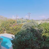 22 PSR - Stay Villa Michalis