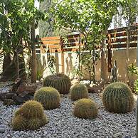122 VOR - Stay Cactus House