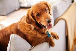 Central Ellesmere -sleeps2 - Parking - Petfriendly