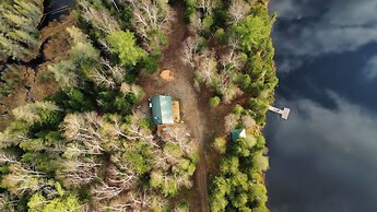 Lièvre Rouge- Refuge en forêt