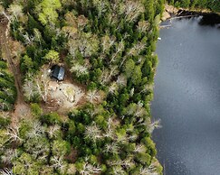 Lièvre Rouge- Refuge en forêt