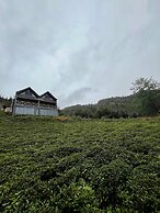 Relax Dağ Evleri