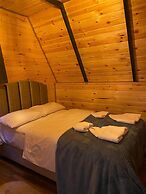 Tolso Wooden Hause