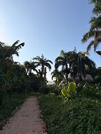 Dominican Jungle Resort
