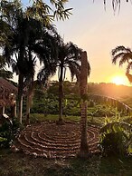 Dominican Jungle Resort