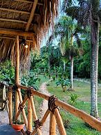 Dominican Jungle Resort
