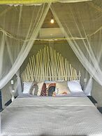 Dominican Jungle Resort