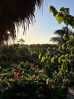 Dominican Jungle Resort