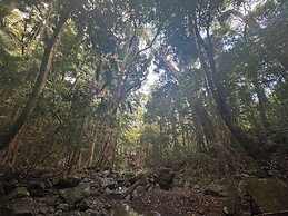 Heaven in the Hills