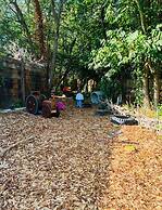 Woods Meadow Glamping