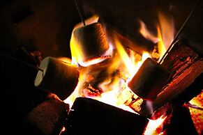 Woods Meadow Glamping