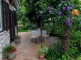 Green Garden Oasis