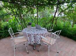 Green Garden Oasis