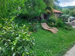Green Garden Oasis
