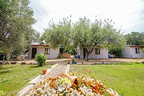 MADAM AFRODİT KONUKEVİ