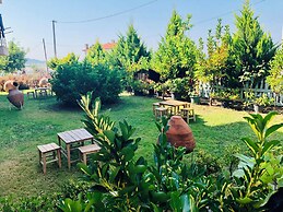 Poyraz Konuk Evi