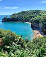 Budva Felix Suits