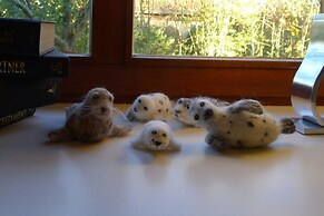 Holiday Home Gray Seal