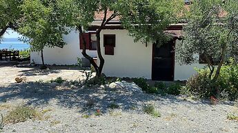 İncir Bozcaada