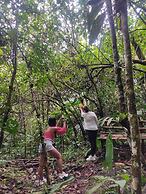 Bosques de la pradera