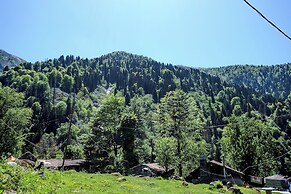 Ayder Palazzo