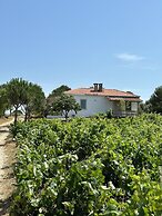 Denizhan Bağ Evi