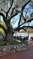 Pansion Alen-Dugi otok