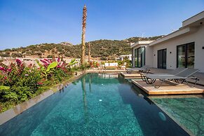 Villa Loca