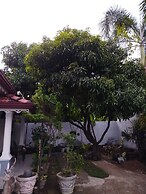 Cosy White Palace