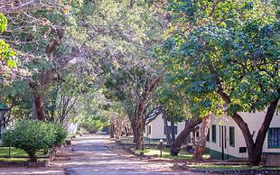 Rest Camp Victoria Falls