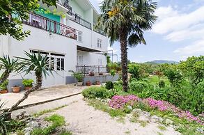 Apartments Sutvid