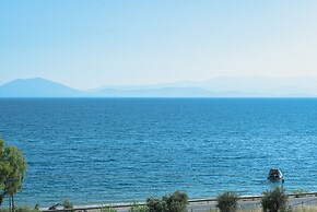 Lilly s Seaview Studio