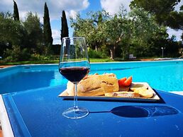 Cornflower apt With Shared Pool