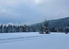 Chalet in La Bresse With Valley Views