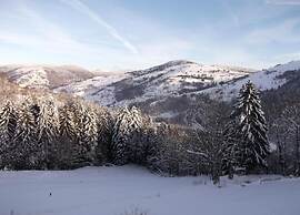 Chalet in La Bresse With Valley Views