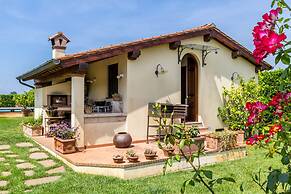 Villa Pallina With Pool