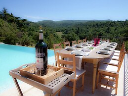 Villa in Provence With Infinity Pool