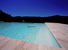 Villa in Provence With Infinity Pool