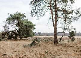 Villa in Someren Near Golf Course