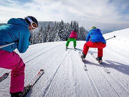 Pleasant Chalet on the ski Slopes